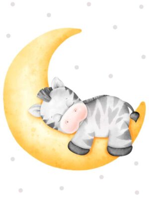 Lámina zebra bebé en la luna