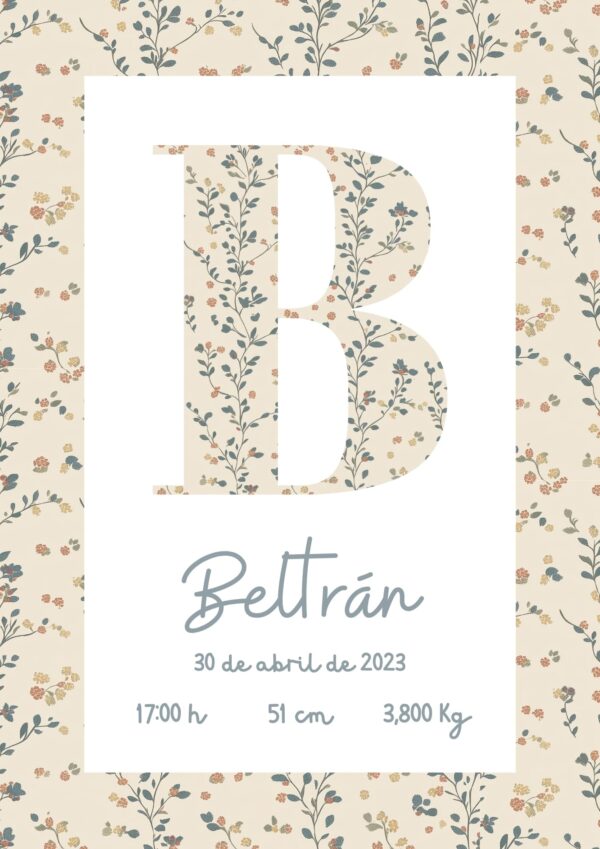 Natalicio para bebé Lavender Natalicio para bebé Lavender