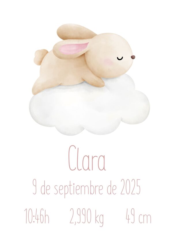 Natalicio personalizado conejito en la nube Natalicio personalizado conejito en la nube